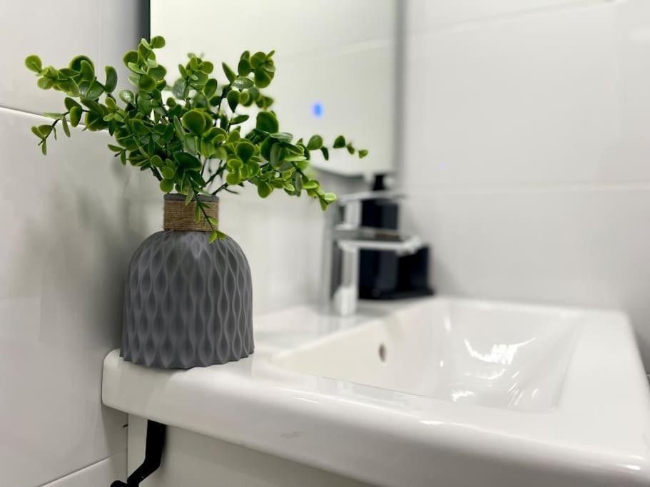 Elegancia Junto Al Rectorado. Apartment Кордоба Екстериор снимка