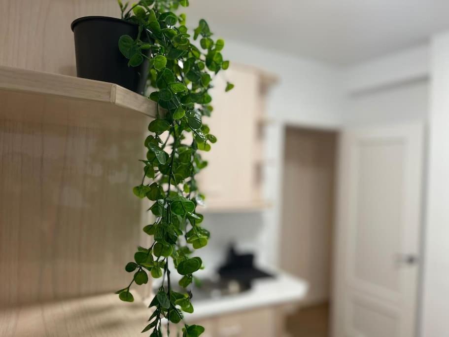 Elegancia Junto Al Rectorado. Apartment Кордоба Екстериор снимка