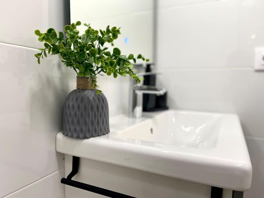 Elegancia Junto Al Rectorado. Apartment Кордоба Екстериор снимка