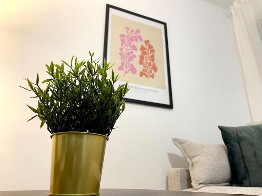 Elegancia Junto Al Rectorado. Apartment Кордоба Екстериор снимка