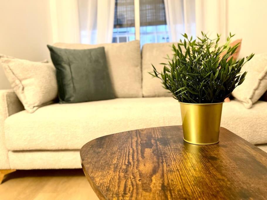 Elegancia Junto Al Rectorado. Apartment Кордоба Екстериор снимка